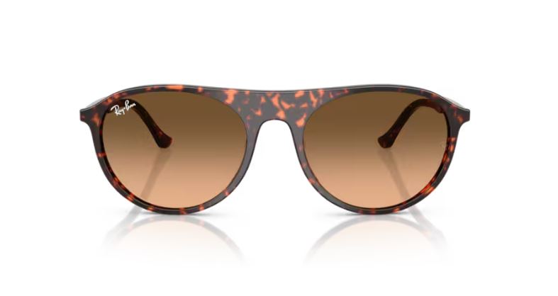 RAY-BAN RB2215 14293B