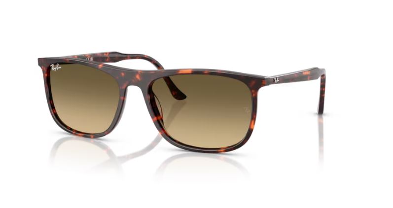RAY-BAN RB2216 14290A