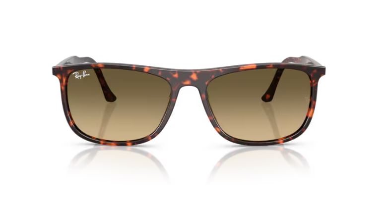 RAY-BAN RB2216 14290A