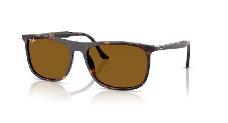 RAY-BAN RB2216 90233