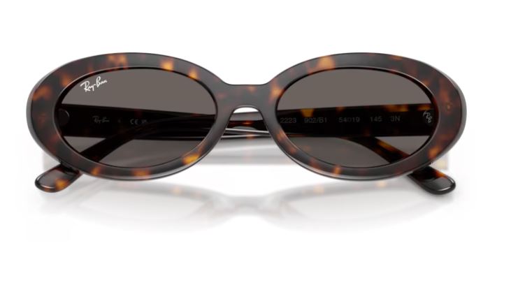 RAY-BAN RB2223 902B1