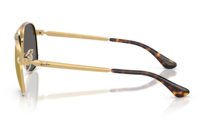 RAY-BAN RB3793 001/93 Bill max