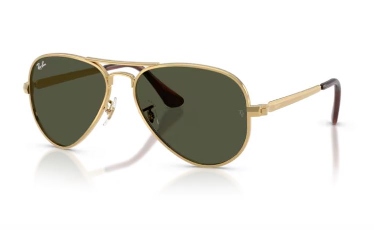 RAY-BAN RB3925 001/31