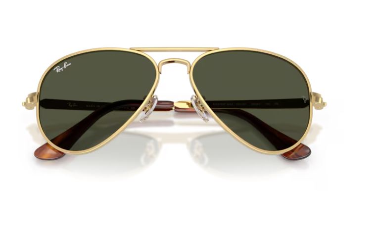 RAY-BAN RB3925 001/31