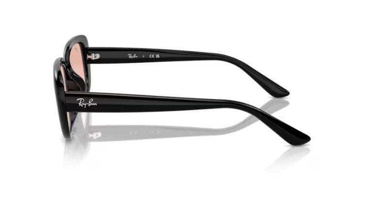 RAY-BAN RB4421D 667784