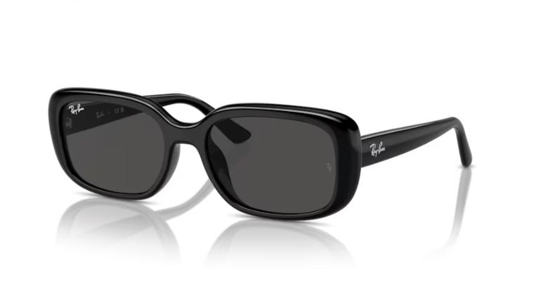 RAY-BAN RB4421D 667787