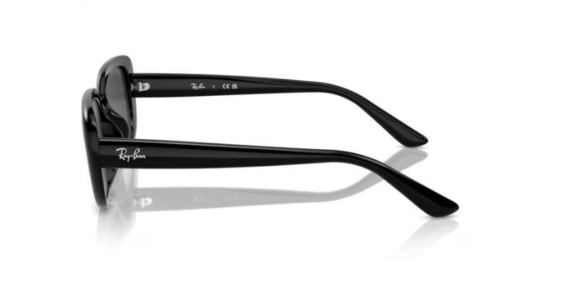 RAY-BAN RB4421D 667787