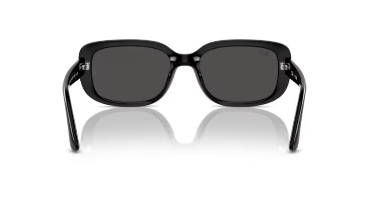 RAY-BAN RB4421D 667787