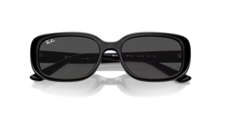 RAY-BAN RB4421D 667787