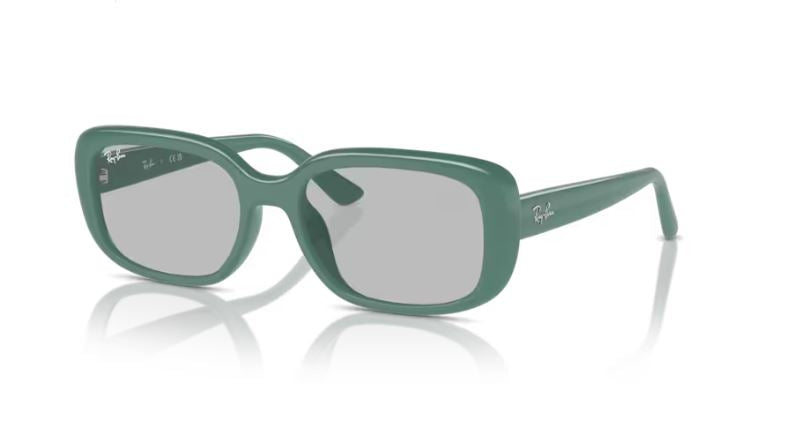 RAY-BAN RB4421D 676287