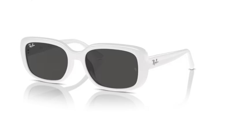 RAY-BAN RB4421D 677287