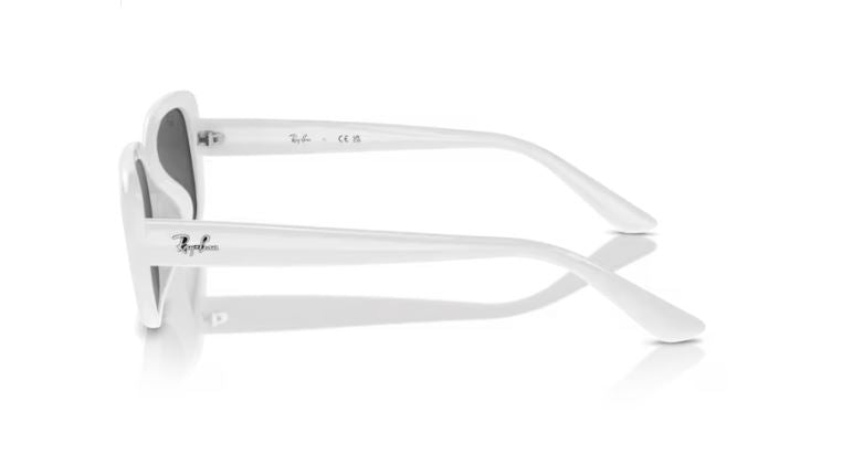 RAY-BAN RB4421D 677287