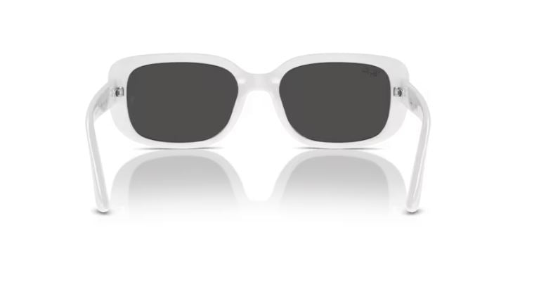 RAY-BAN RB4421D 677287