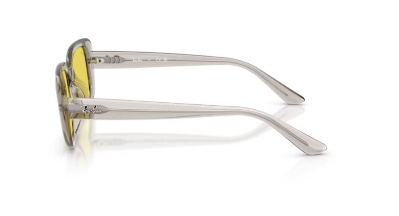RAY-BAN RB4421D 681885