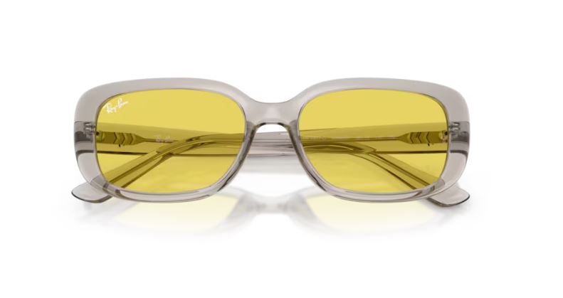 RAY-BAN RB4421D 681885