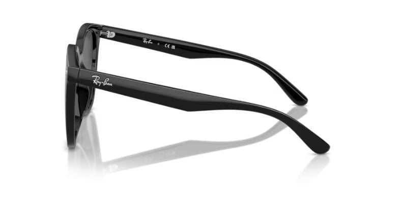 RAY-BAN RB4423D 60187