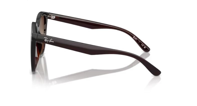 RAY-BAN RB4423D 71413