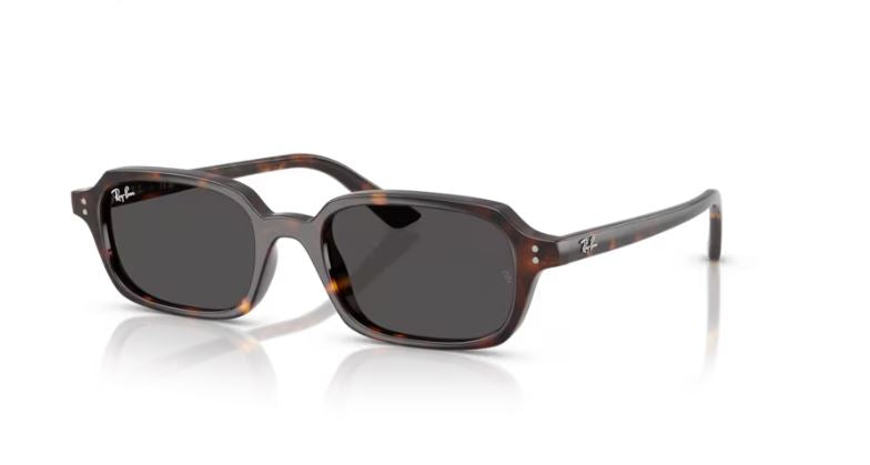 RAY-BAN RB4455 135987