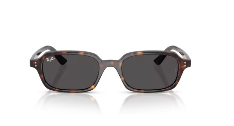 RAY-BAN RB4455 135987
