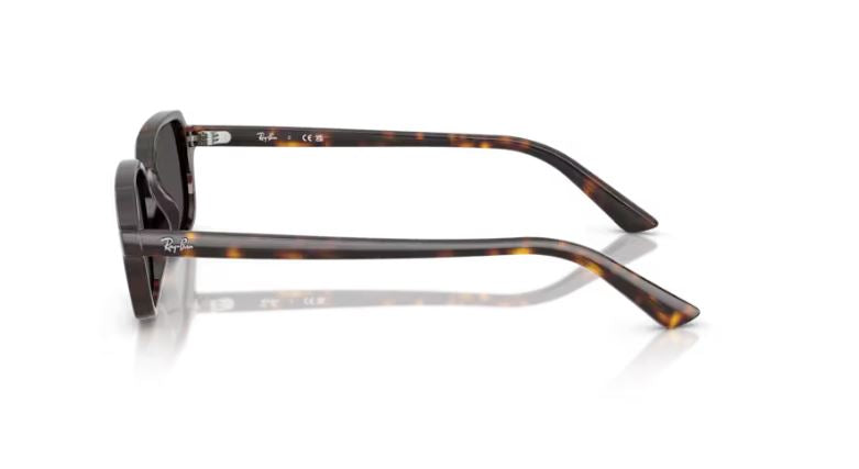 RAY-BAN RB4455 135987
