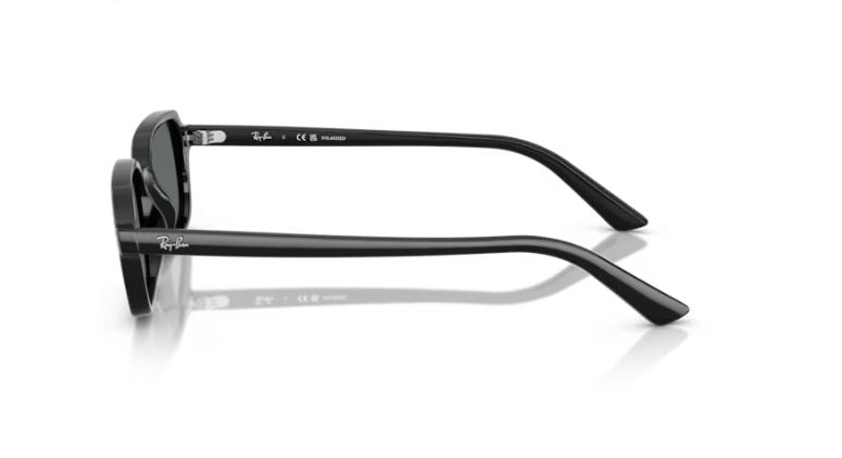 RAY-BAN RB4455 667781