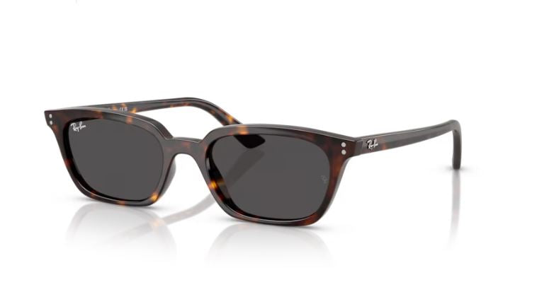 RAY-BAN RB4456 135987