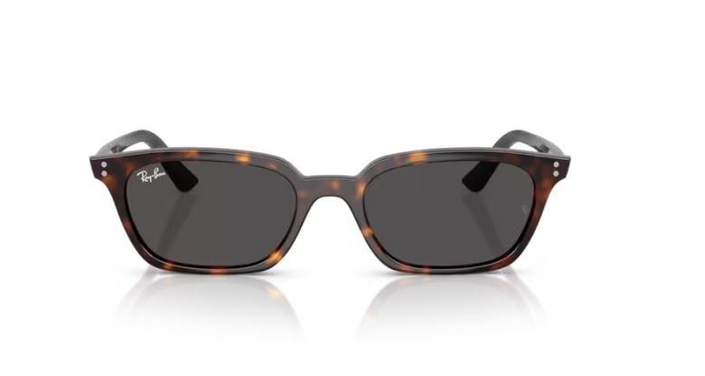 RAY-BAN RB4456 135987