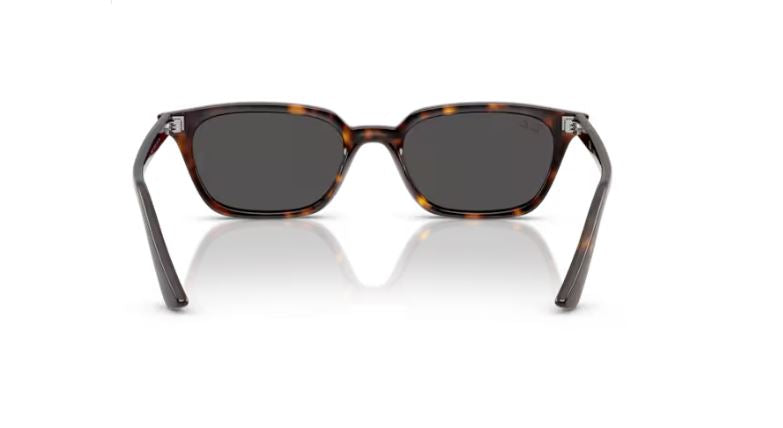 RAY-BAN RB4456 135987