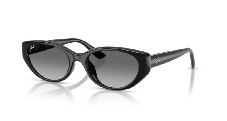 RAY-BAN RB4457D 667711