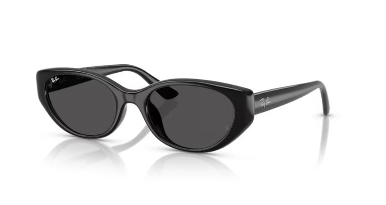 RAY-BAN RB4457D 667787