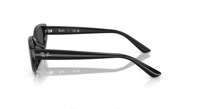 RAY-BAN RB4457D 667787