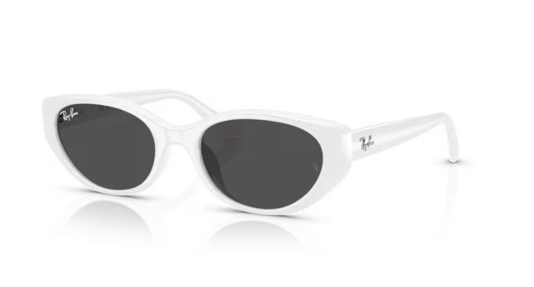 RAY-BAN RB4457D 677287