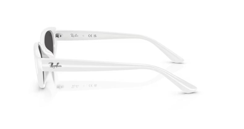 RAY-BAN RB4457D 677287