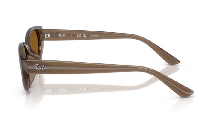 RAY-BAN RB4457D 677983