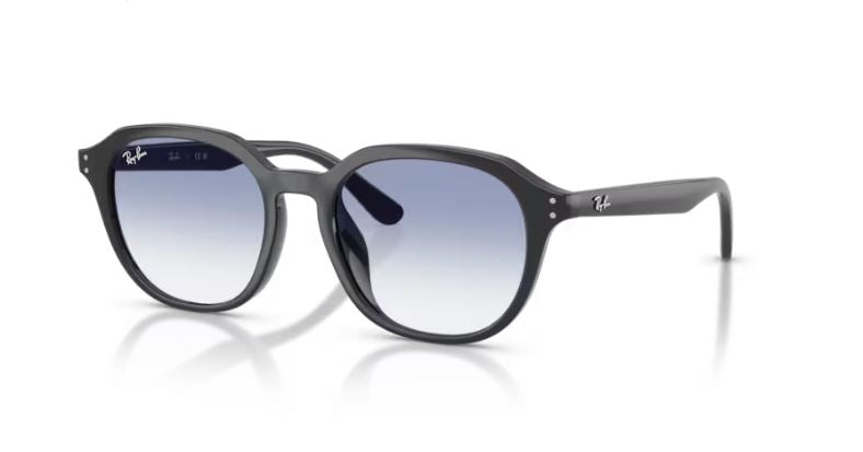 RAY-BAN RB4459D 623019