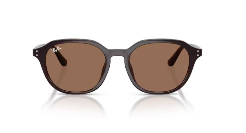 RAY-BAN RB4459D 623173