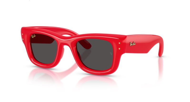 RAY-BAN RB4940 683187 Wayfarer puffer