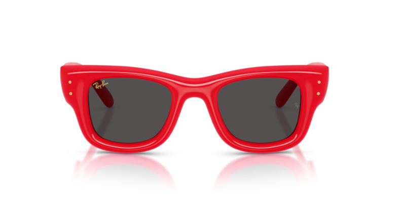 RAY-BAN RB4940 683187 Wayfarer puffer
