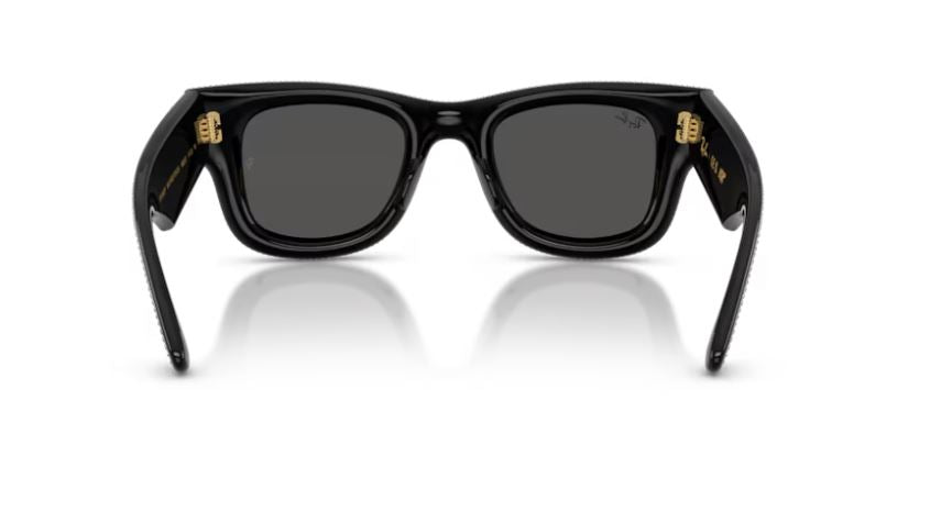 RAY-BAN RB4940BP 686587 Wayfarer puffer