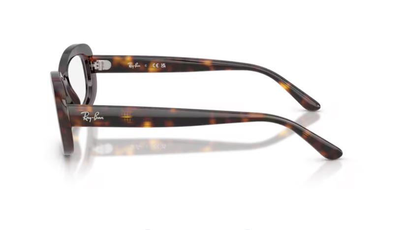 RAY-BAN RX2221V 2012