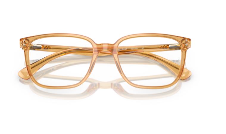RAY-BAN RX5438I 8447