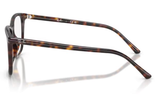 RAY-BAN RX5455 2012