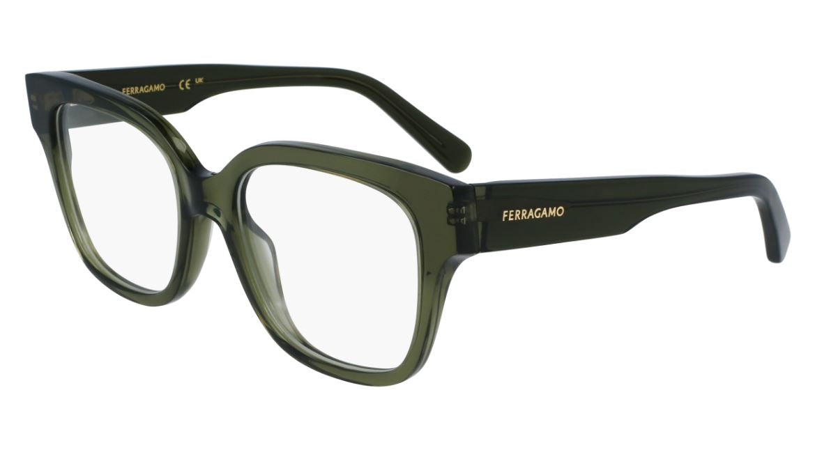 Salvatore ferragamo SF2952N (320)