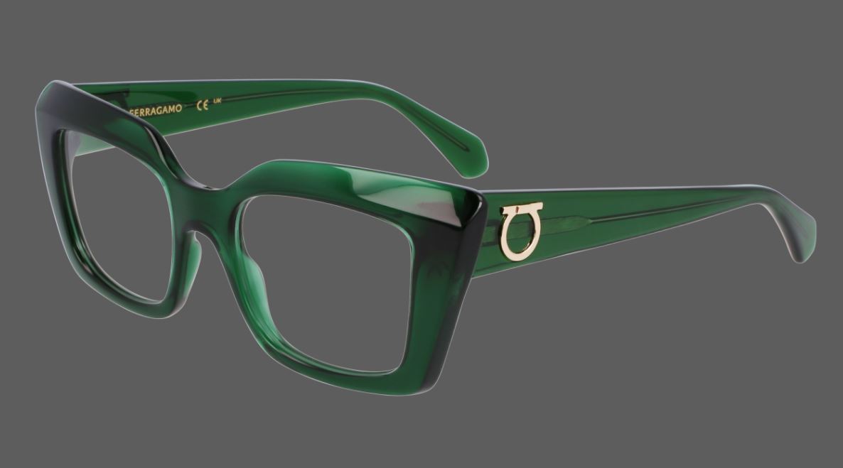 Salvatore ferragamo SF3008 (317)