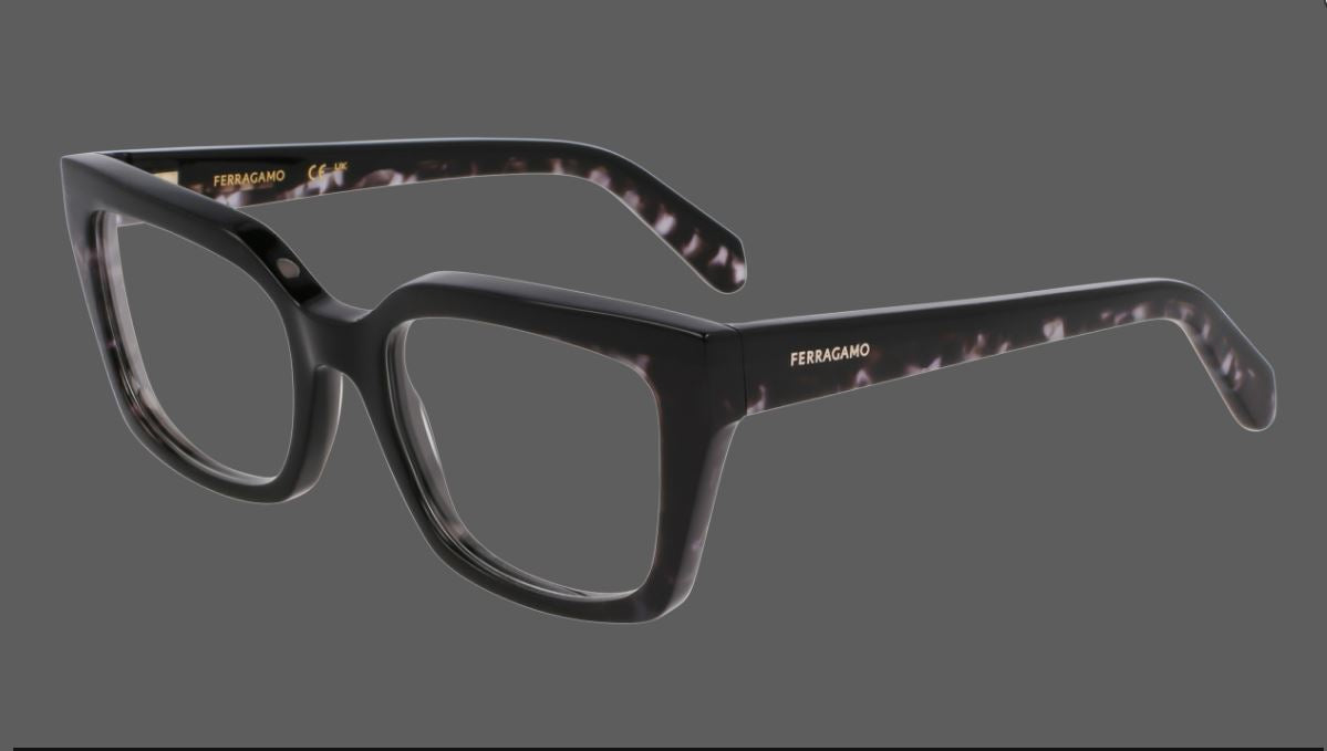 Salvatore ferragamo SF3010 (004)