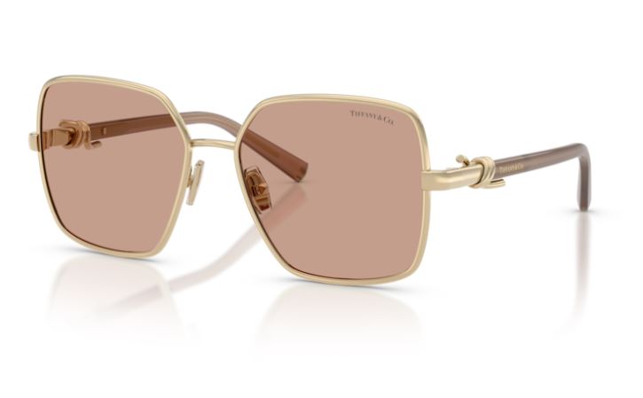 TIFFANY & CO TF3122 602173