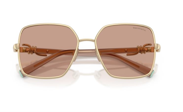 TIFFANY & CO TF3122 602173