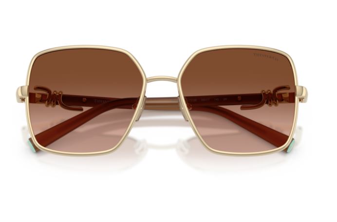 TIFFANY & CO TF3122 61773B