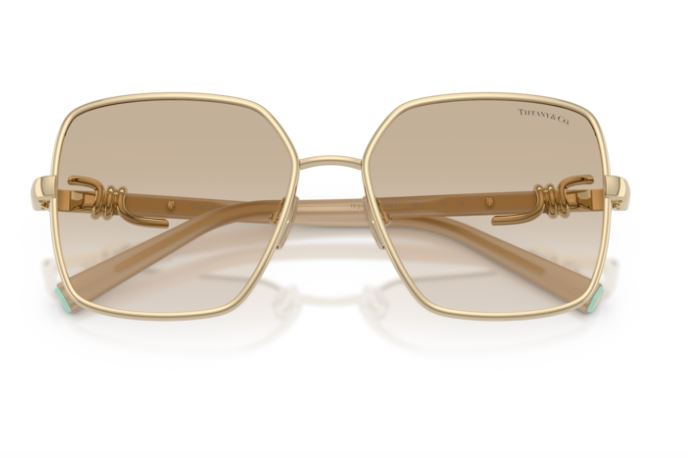 TIFFANY & CO TF3122 623911