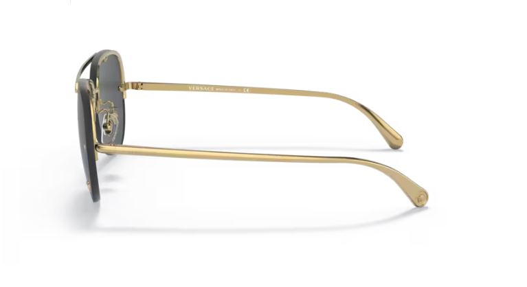 VERSACE VE2231 100287